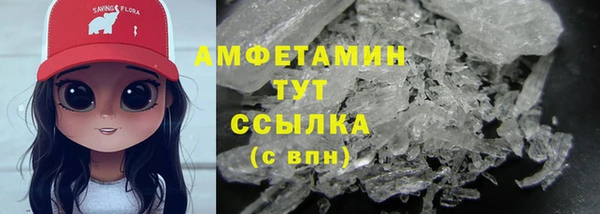 дмт Гусев