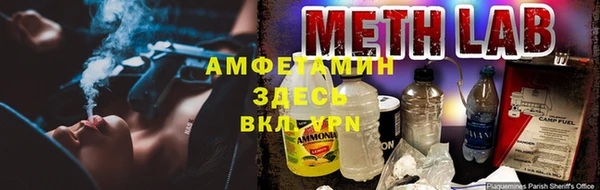 дмт Гусев