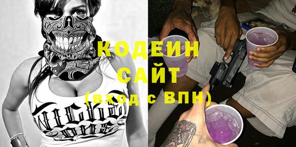 дмт Гусев