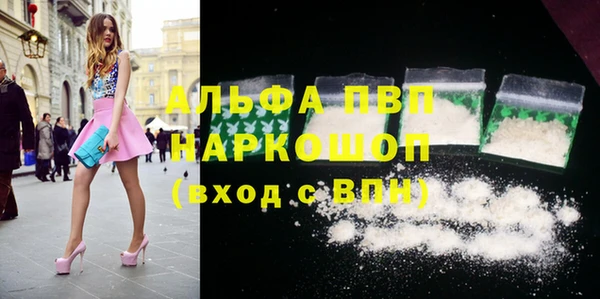 дмт Гусев