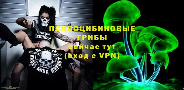 гидра Дмитров
