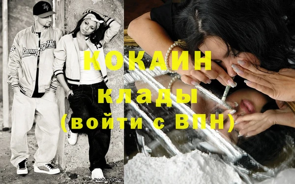 дмт Гусев