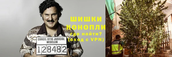 гидра Дмитров